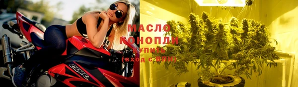 молекула духа Краснослободск