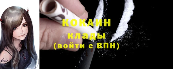 молекула духа Краснослободск