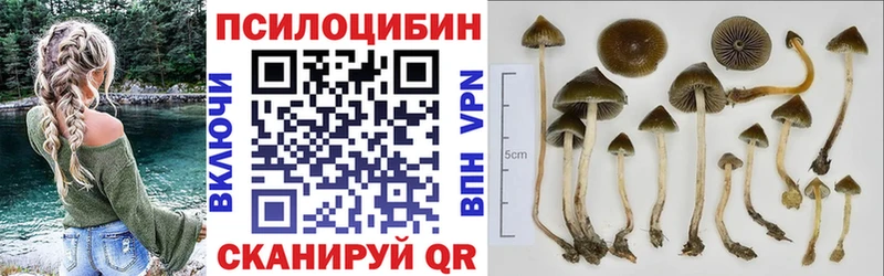 Псилоцибиновые грибы GOLDEN TEACHER  как найти закладки  Малгобек 