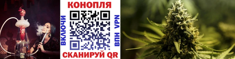 где купить наркоту  Малгобек  гидра сайт  Каннабис OG Kush 